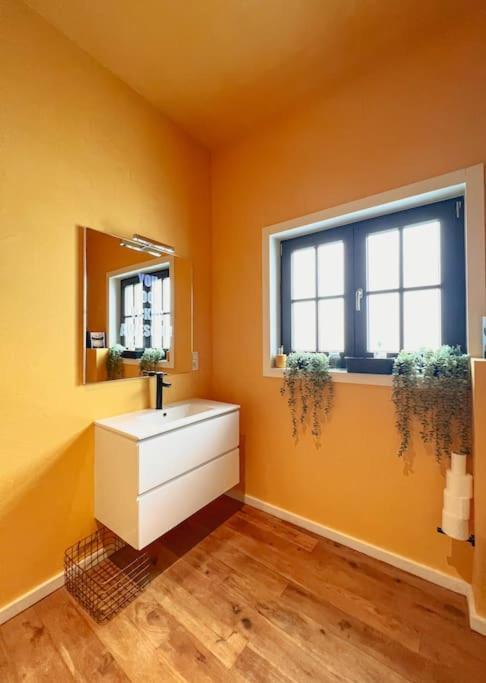 Apartament Laila Penthouse Antwerpia Zewnętrze zdjęcie